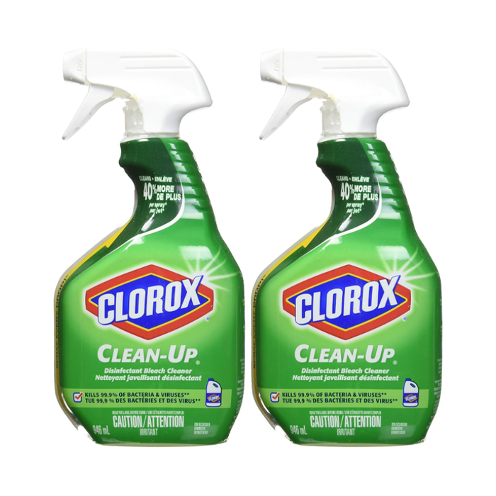Clorox Clean-Up All Purpose Cleaner with Bleach, Spray Bottle, Origina —  Custom Treats