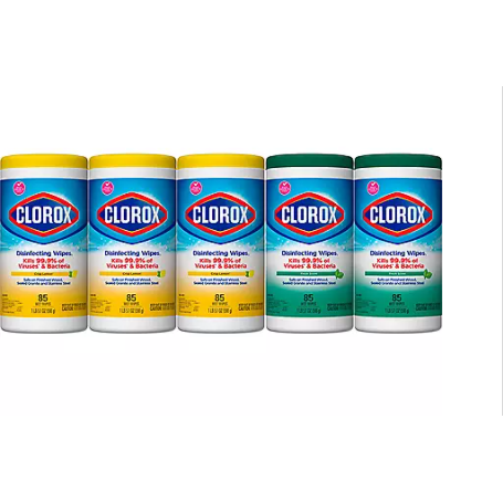 Clorox Disinfecting Wipes Value Pack, Bleach Free Cleaning Wipes (85 per pk., 5 pk.)